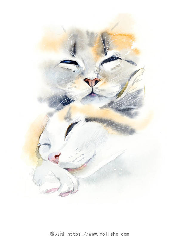 水彩手绘插图猫咪可爱猫咪宠物动物